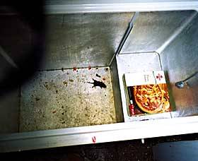 enucleator:  Some of the photos taken in Armin Meiwes' house, where he killed and