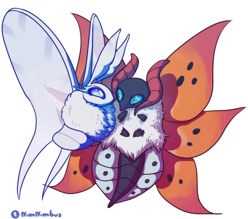 there you go tumblr, some gay moths for you