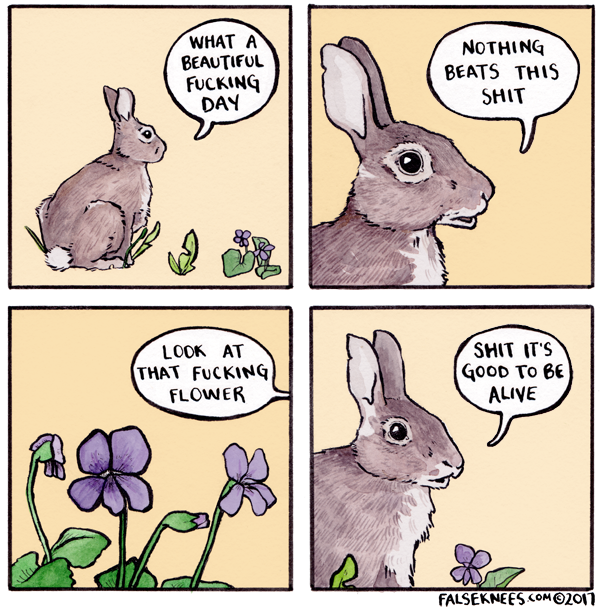 old-moth:  foodffs:  falseknees:  Spring is the fucking greatest  Aw yiss.   Bruh.