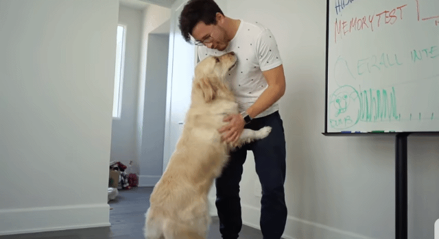 lettodaybeareasontosmile:  Floofy Baby
