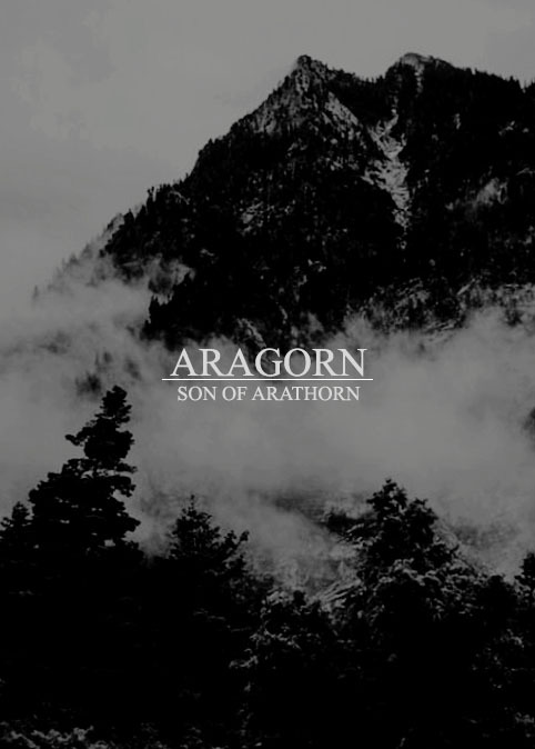 meropegaunt:   @oneringnet‘s favourite character event → aragorn  But I am the real Strid