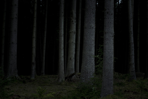 kamilanoranetik:https://www.facebook.com/KamilaNoraNetik