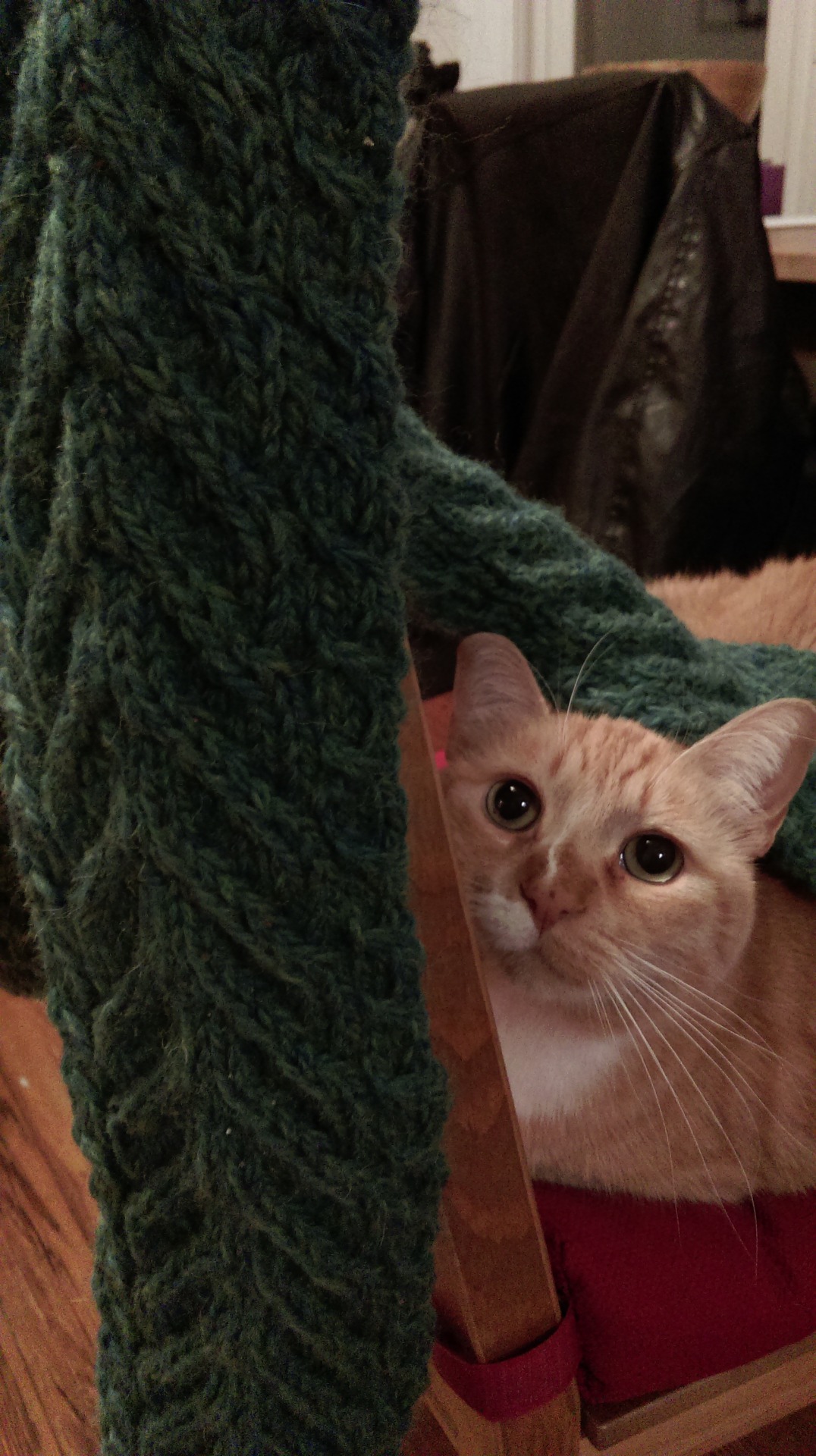 Staghorn Cable Scarf (pattern 1 of 2 based on a square in a sampler afghan book my grandma gave me when I was a tiny human)
Yarn: Cascade Eco+ in Satine (the lighting in my apartment is really weird)
Needles: Size 10 needles of any shape (I prefer...