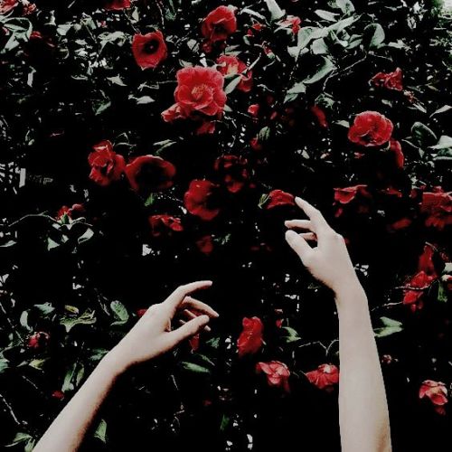 ⋆* –♕; greek mythology / a cunning persephone ▸ imagined in red ❜she who bloomed in lowlight, in sha