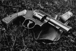 45-9mm-5-56mm:  Smith & Wesson by Adam