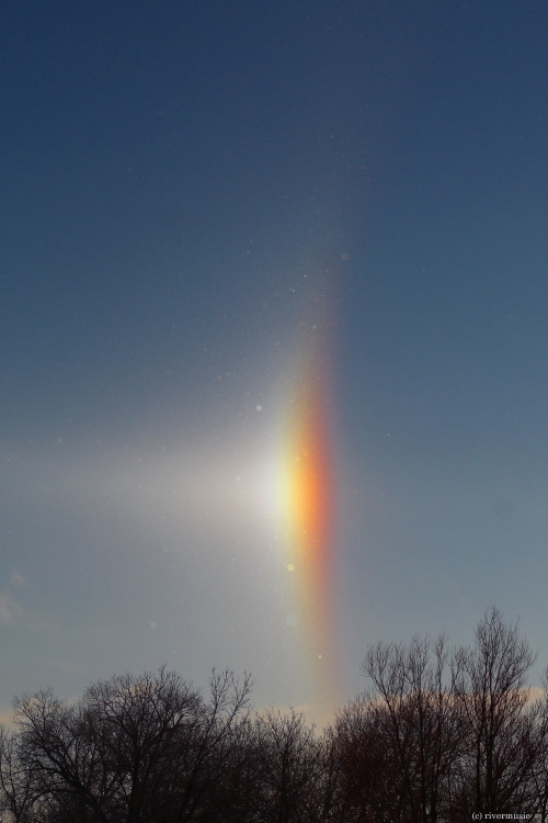 *Sparkling Sun Dog*“Sun dogs are a member of a large family of halos, created by light interacting w