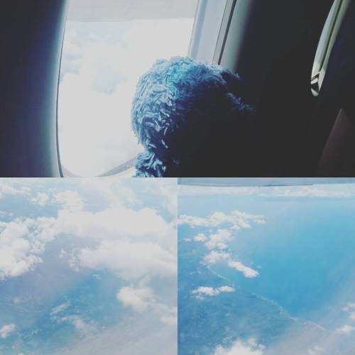 #stitch #travels #highflyer #clouds #sky #cute #fluffy #airplane #manila #boracay #philippines #phil