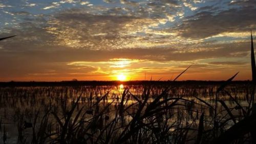 Any duck hunters here? You might want to consider your luck in Jefferson County - with views from a 