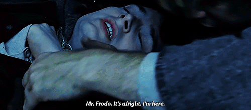 Frodo wouldn’t have got far without Sam.