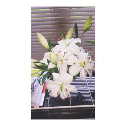 my beautiful lilies that Tom got me for our