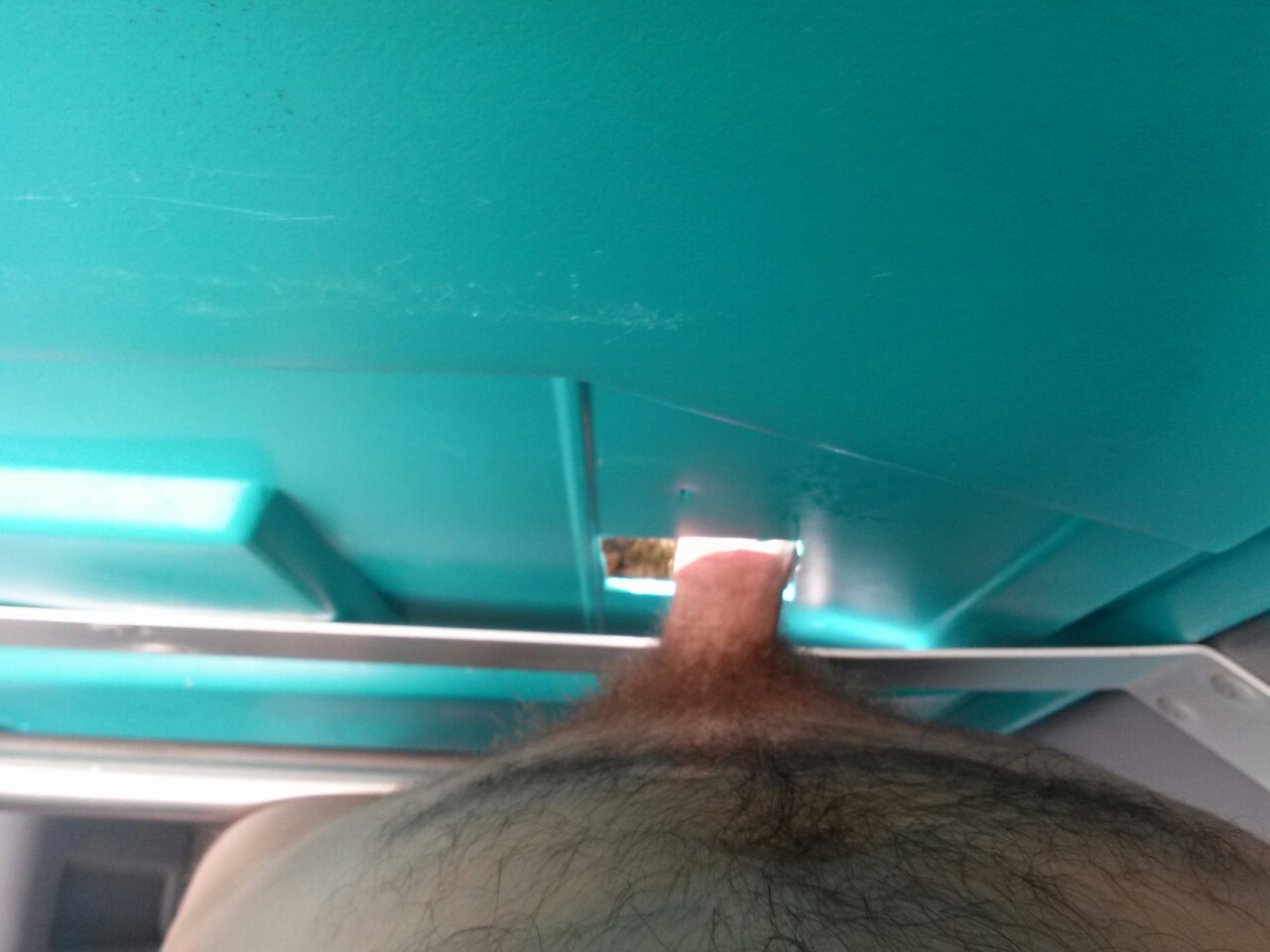 tattootodd80:  There was a gloryhole cut into the port-a-potty in a national park.