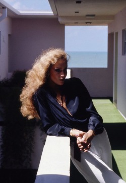 lelaid:  Jerry Hall by Helmut Newton for