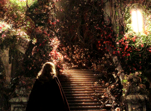 LA BELLE ET LA BTE + Dir. Christophe Gans