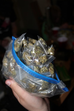 indic4:  maryjaneside4s:  420freestyle:  Want some?  Well if you’re offering…  I want all 