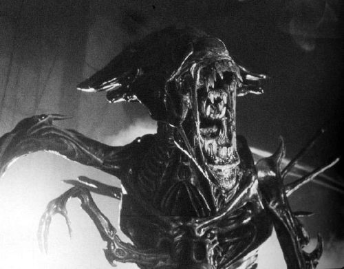 machineraptor:  Aliens &lt;3 