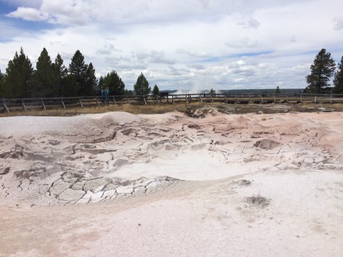 germanican:Fountain Paint Pot, Yellowstone