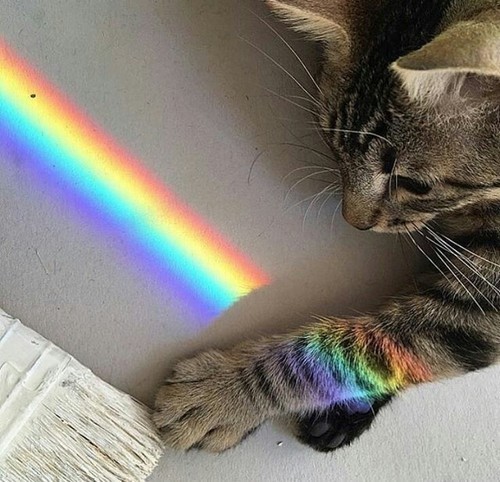 ~