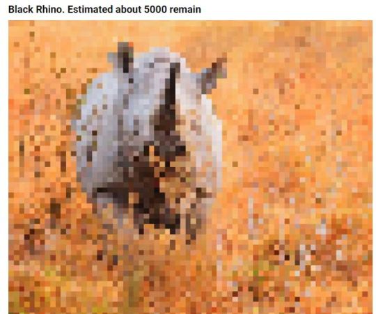 These Pics Are Composed Of As Many Pixels As There Are Animals Still Alive In These Species