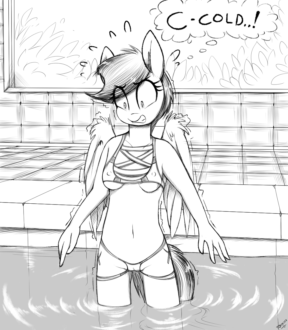 stable86:  Jade Shine goes for a swim in a local indoor pool, but the water is cold
