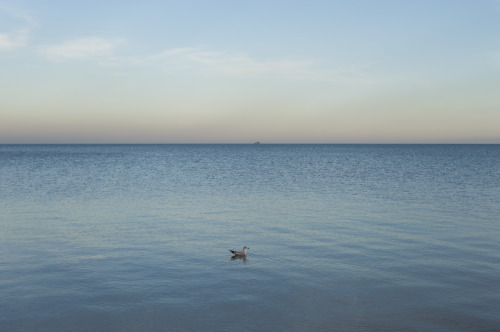 j-m-f-photography:Landscapes