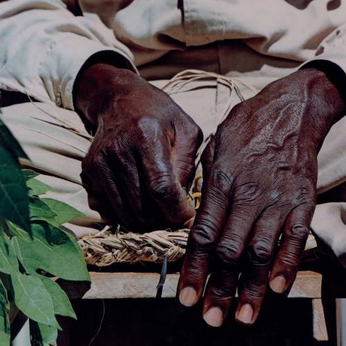 autosafari:Hands of the Old Straw Weaver, St. Croix, Virgin Islands. 1970.Photography by Fritz Henle