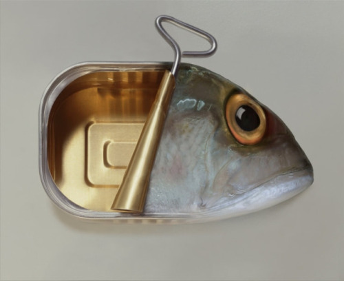 Dominic Rouse for ArtsGraftsa - b) Canned Fishc) Fish Can’t