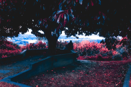 photo dump (red)find me on instagram for pictures and math help (optional): @traurigtoby