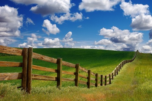morethanphotography:  Dreamy Day by crazyaboutnature 