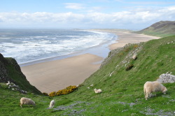 breathtakingdestinations:Rhossili - Wales