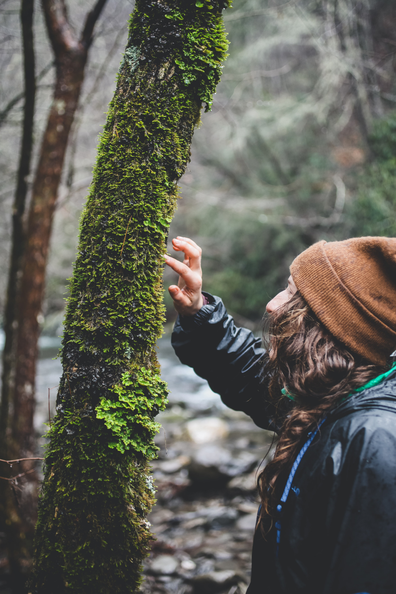 jonahreenders:  Exploring along the River// Smoky Mountain National Park  By: Jonah