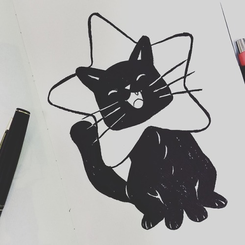 Star, the cat