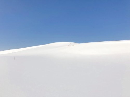 gkojax:別所隆弘 / Takahiro Besshoさんのツイート: 雪の鳥取砂丘が凄すぎて言葉が出ない。青空がまたすごい。 t.co/a2DX00KYSt
