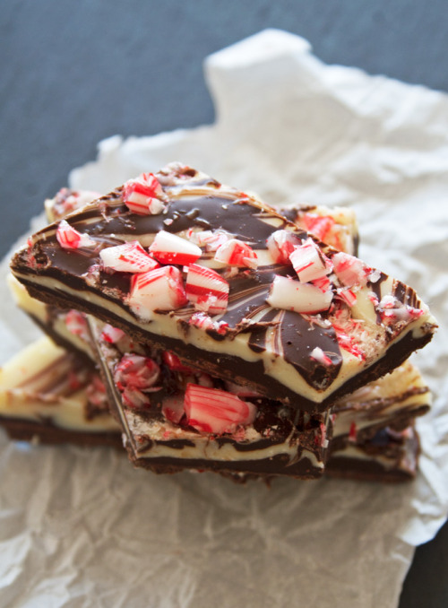 Porn ilovedessert:  Peppermint Bark photos