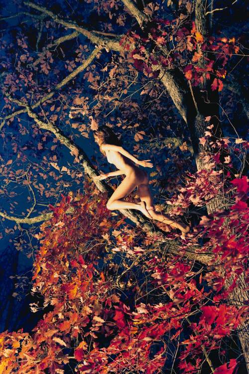 withoutyourwalls:Ryan  McGinley