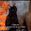 imahippiecat