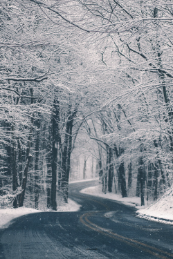 stvdy:  First Snow (Jack Wassell) 