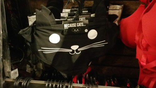 duckdraw: While over at hottopic today we found snowy’s panties ehehThose are cute… and yeah, she’d 