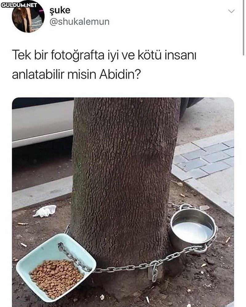 fotoğraf çok şey...