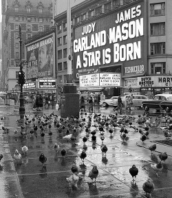 :  Times Square. Photographed by Frank Larson.