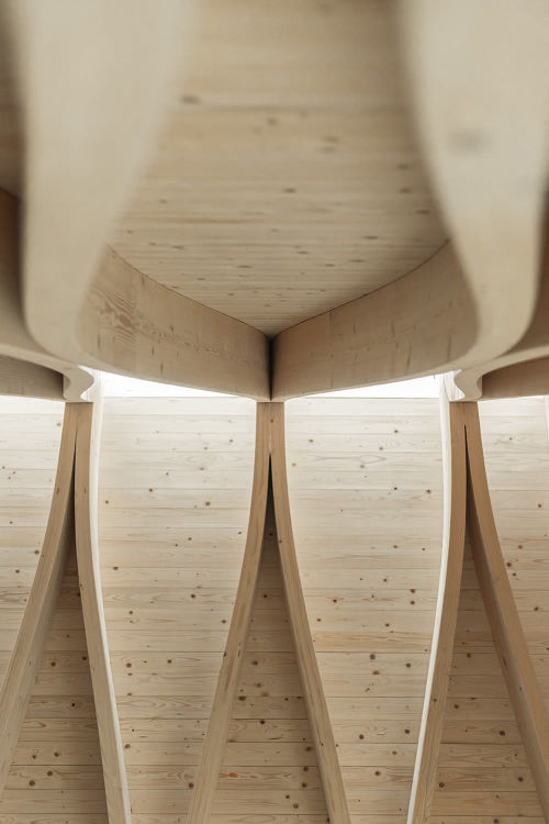  tervajärvi forest chapel ~ architecturestudio noan | photos © essi nisonen