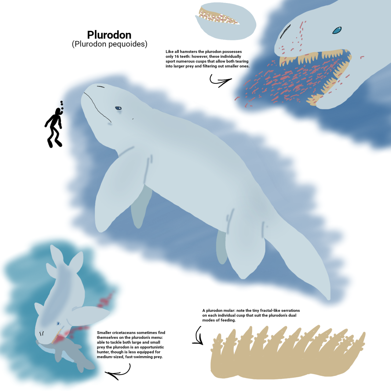 ceo of hamster evolution — The Early Temperocene: 140 million years