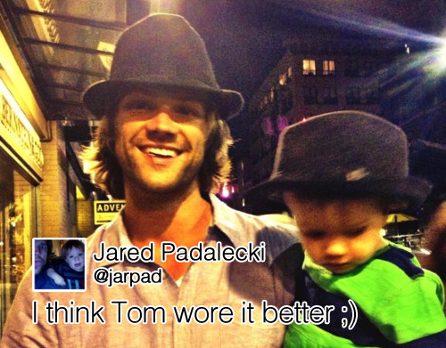 themegalosaurus:  Jared, Thomas and the mini Padafedora (video/tweet) 