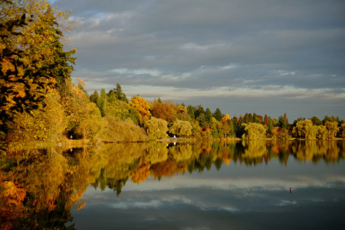 autumn - lost lagoon, stanley parkvancouver, bc