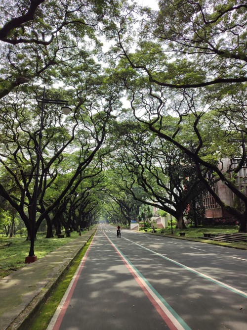 University Of The Philippines, Diliman