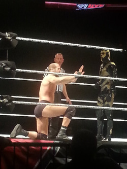 romulusreigns:  WWE Live 01/31/14  So much