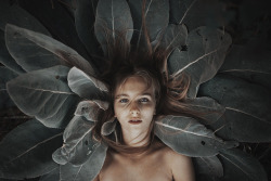 beautyofthecurve:  mymodernmet:  Dramatic Portraits of Ethereal Women Captured with Natural Light by Alessio Albi  Likey likey.