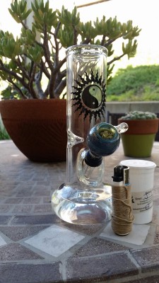 maryjanegavemethemunchies:  ganjachild:  Yay  Beautiful 