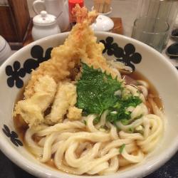 greatfoods:  House made udon noodles with tempura shrimp and matsutake mushrooms via reddit 