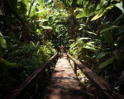 Journey into the jungle.
📍Savusavu, Fiji
A few frames for @tavolafiji
(at Savusavu, Fiji Islands)
https://www.instagram.com/p/Cp3leEAPhgC/?igshid=NGJjMDIxMWI=