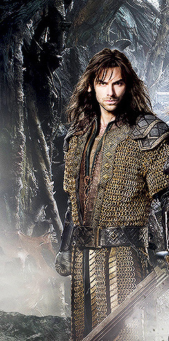 thorinds:  Fili and Kili from the new poster for The Hobbit: The Desolation of Smaug